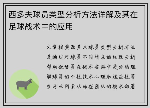 西多夫球员类型分析方法详解及其在足球战术中的应用 西多夫球员类型分析方法详解及其在足球战术中的应用