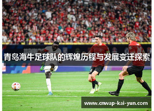 青岛海牛足球队的辉煌历程与发展变迁探索 青岛海牛足球队的辉煌历程与发展变迁探索